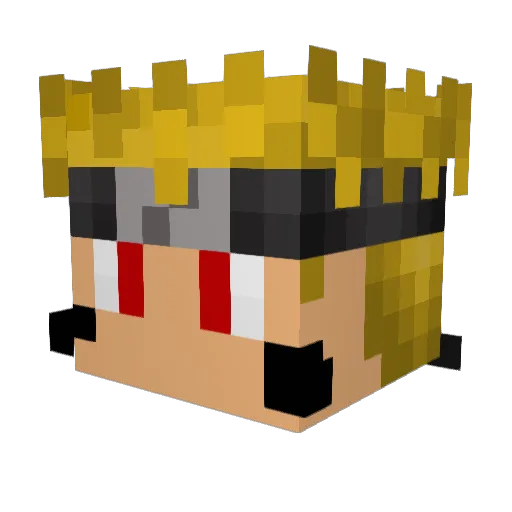 DogeWowsAlot Minecraft avatar head, 3D render