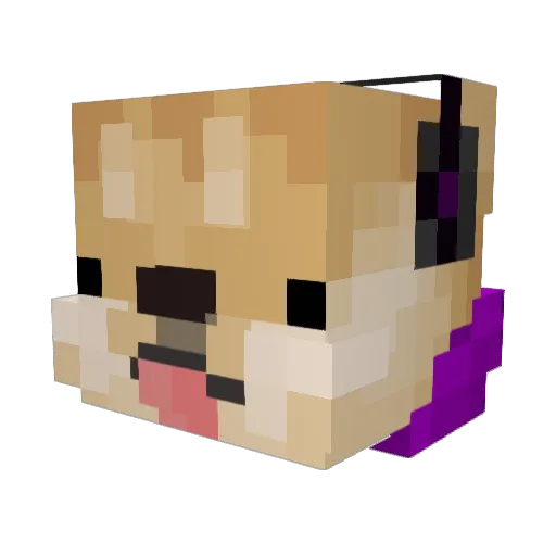 Doge_polska Minecraft avatar head, 3D render