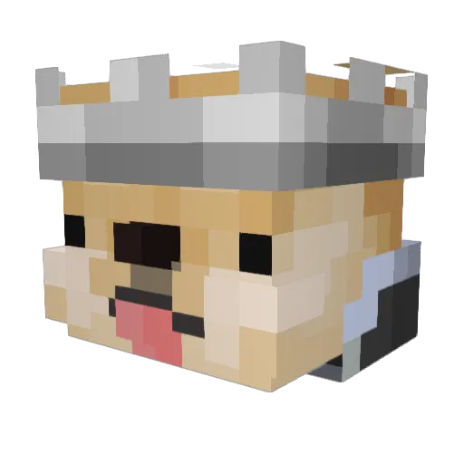 Dogeburger99 Minecraft avatar head, 3D render