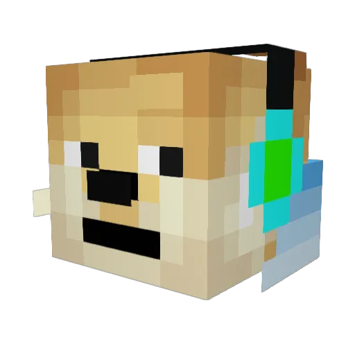 Dogecat1234 Minecraft avatar head, 3D render