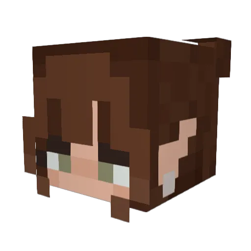 Dogefue Minecraft avatar head, 3D render