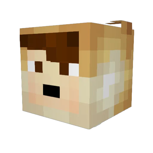 Dogehino Minecraft avatar head, 3D render