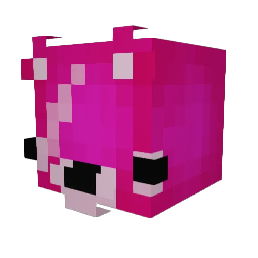Dogeking1233675 Minecraft avatar head, 3D render