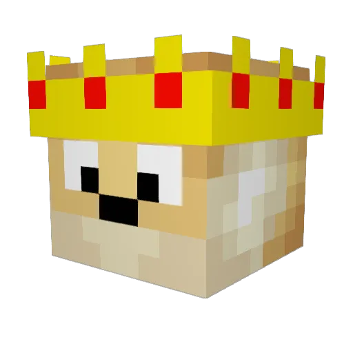 Dogeking39 Minecraft avatar head, 3D render