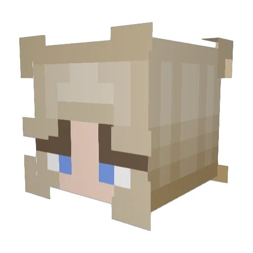 Dogemazing1 Minecraft avatar head, 3D render