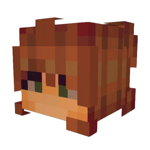 Dogenaiter Minecraft avatar head, 3D render