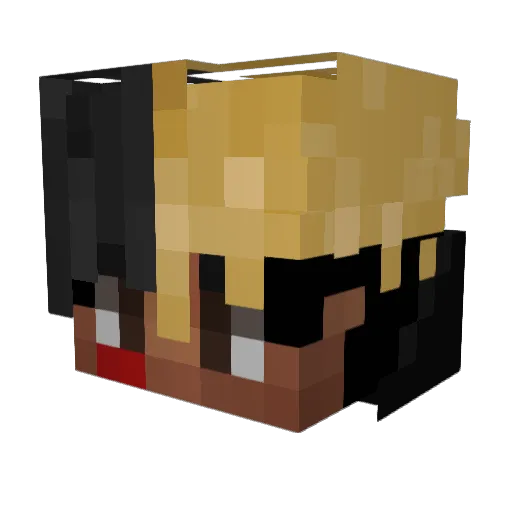 Dogepossu Minecraft avatar head, 3D render
