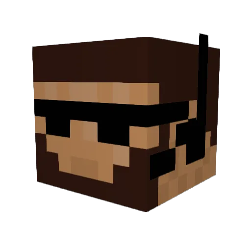 Dogepro3401 Minecraft avatar head, 3D render