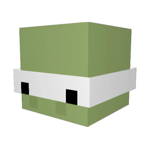 Dogeriss_ Minecraft avatar head, 3D render