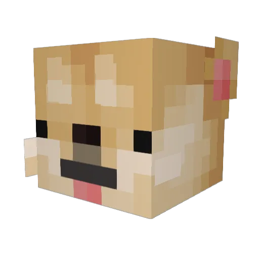 Dogey_Doge3 Minecraft avatar head, 3D render
