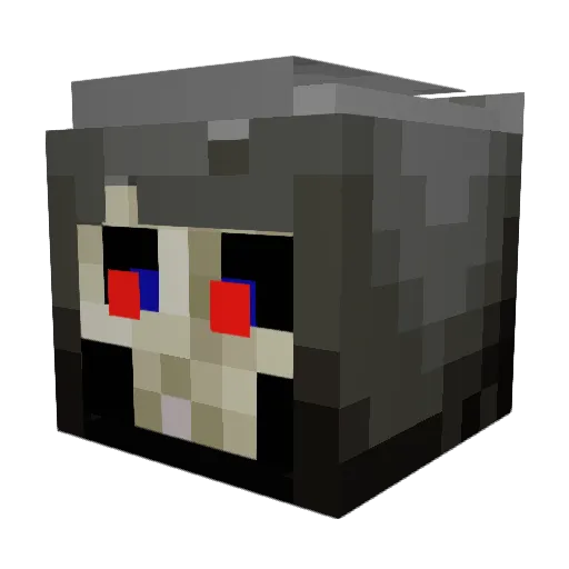 Dogga776 Minecraft avatar head, 3D render