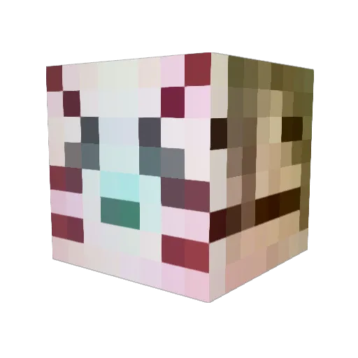 Doggamaran Minecraft avatar head, 3D render