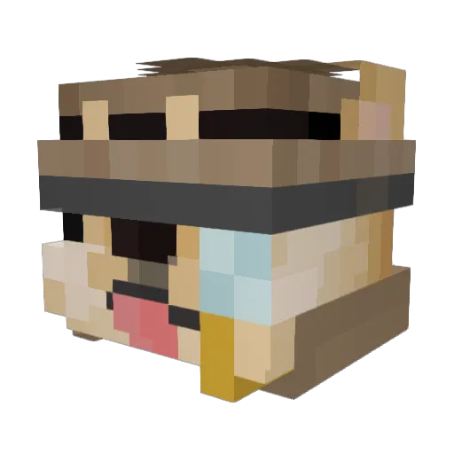 DoggeLord Minecraft avatar head, 3D render