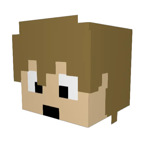 Dogge_99 Minecraft avatar head, 3D render
