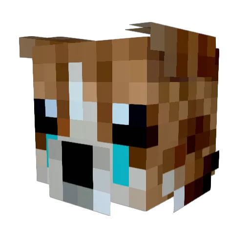 DoggerDepresso Minecraft avatar head, 3D render