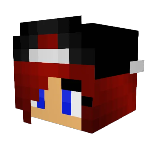 Doggielover08 Minecraft avatar head, 3D render