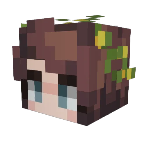 Doggies123 Minecraft avatar head, 3D render
