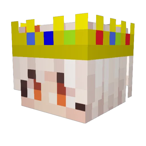 Doggo1221 Minecraft avatar head, 3D render