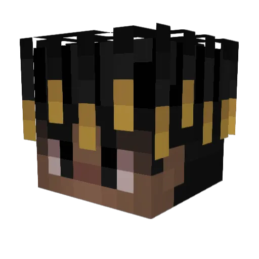 Doggo2004 Minecraft avatar head, 3D render