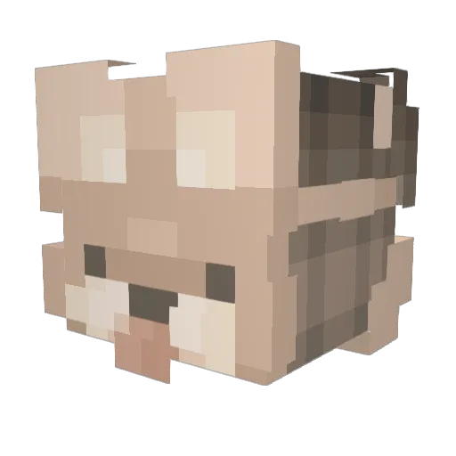 Doggo6919 Minecraft avatar head, 3D render