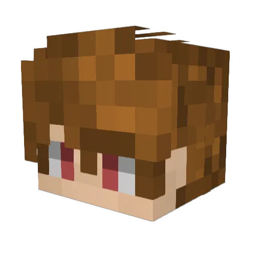 DoggoHS2007 Minecraft avatar head, 3D render