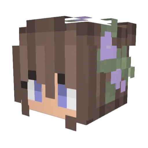 DoggoLover64 Minecraft avatar head, 3D render