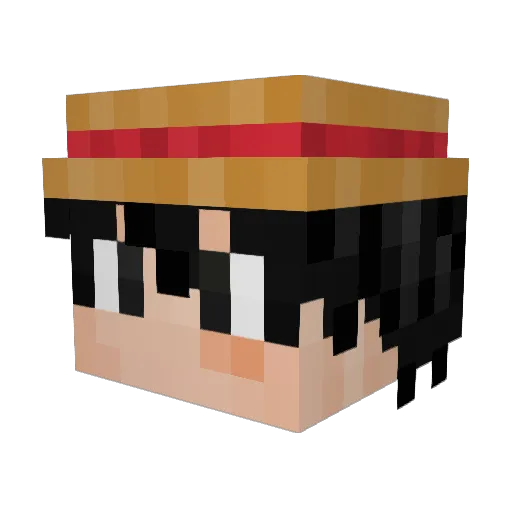 DoggoPvP Minecraft avatar head, 3D render