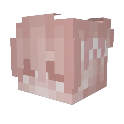 DoggoTen Minecraft avatar head, 3D render