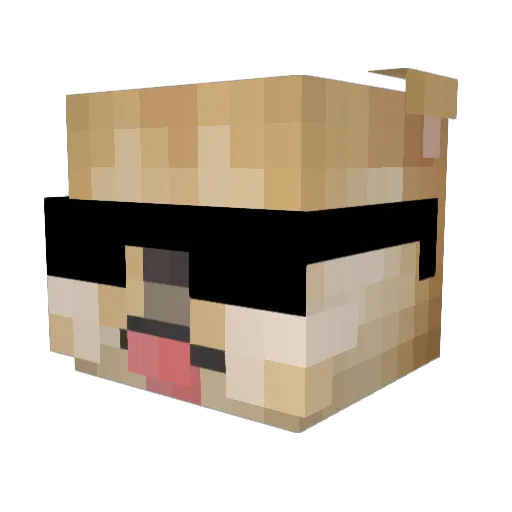 Doggoexe_ Minecraft avatar head, 3D render