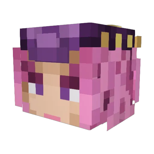 Doggoistaken Minecraft avatar head, 3D render