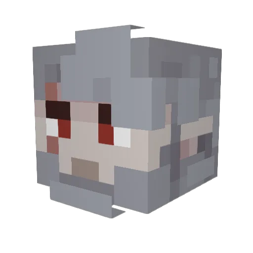 DoggoneArcher10 Minecraft avatar head, 3D render