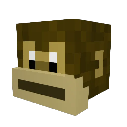 Doggy171 Minecraft avatar head, 3D render