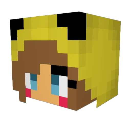 DoggyGal99 Minecraft avatar head, 3D render
