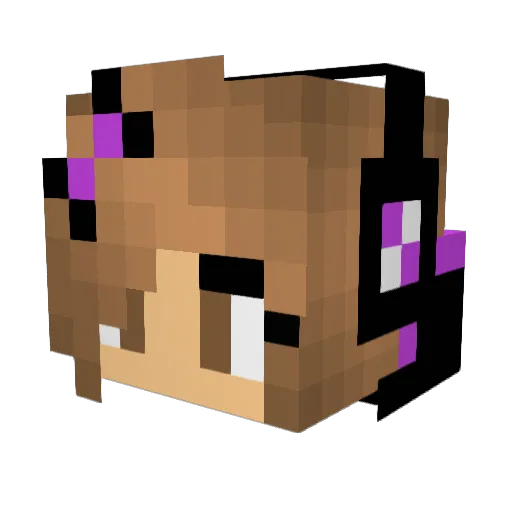 DoggyLover49 Minecraft avatar head, 3D render