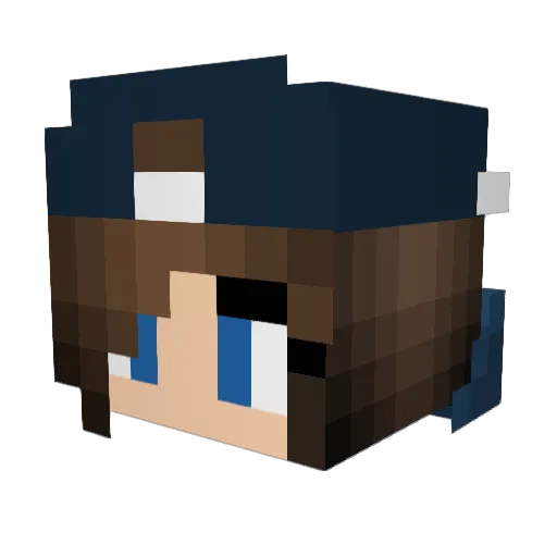Doggypie2 Minecraft avatar head, 3D render