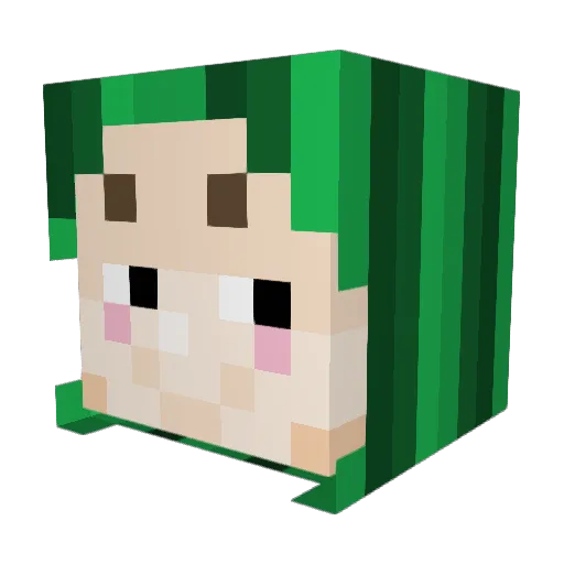 Doggytaro Minecraft avatar head, 3D render