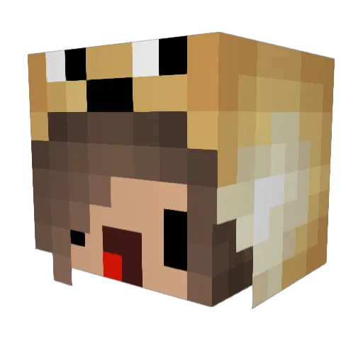 Dogi20 Minecraft avatar head, 3D render
