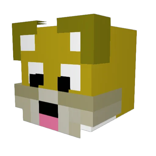 Dogicz Minecraft avatar head, 3D render
