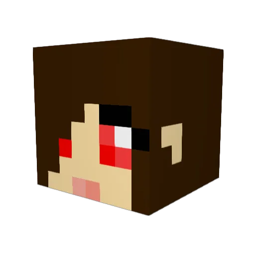 Dogkiller33 Minecraft avatar head, 3D render