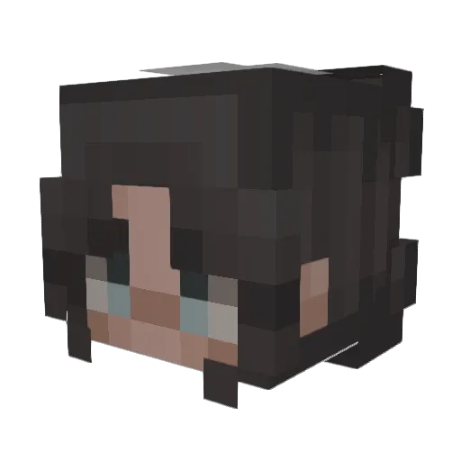 Doglover722 Minecraft avatar head, 3D render
