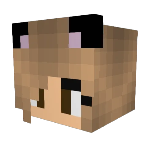 Dogmaster05 Minecraft avatar head, 3D render