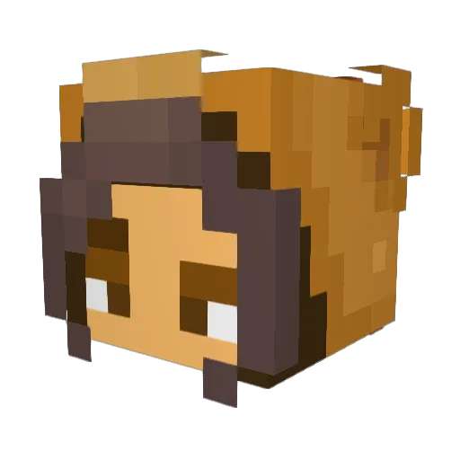 Dogo6963 Minecraft avatar head, 3D render