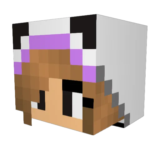 Dogroxx Minecraft avatar head, 3D render