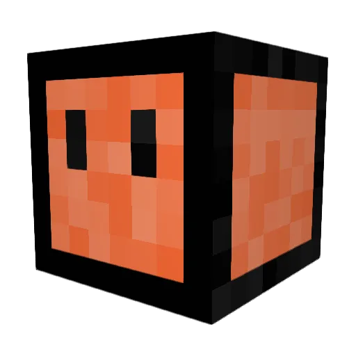 Dogs4life11 Minecraft avatar head, 3D render