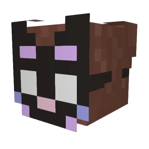 DogsForLife Minecraft avatar head, 3D render