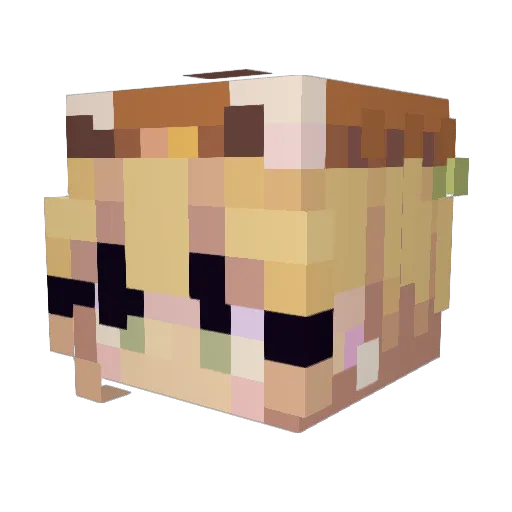 DogsRule27 Minecraft avatar head, 3D render