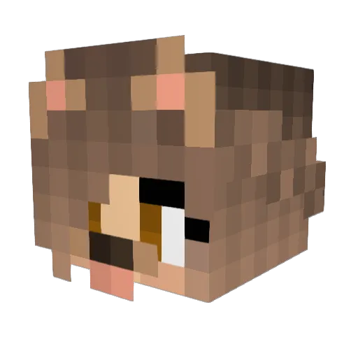 Dogsbaking Minecraft avatar head, 3D render