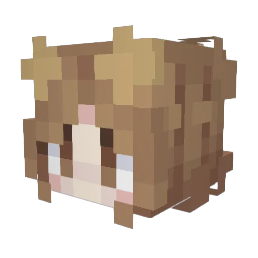 Dogsmaker Minecraft avatar head, 3D render