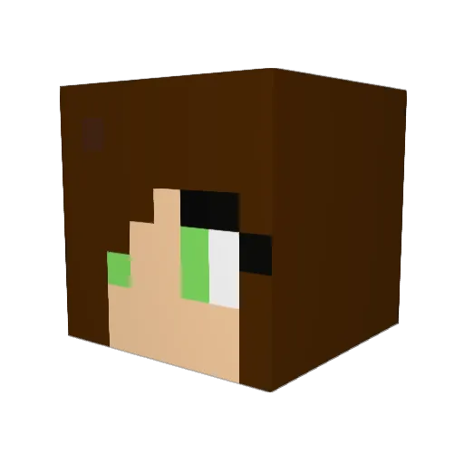 Dogsrock616 Minecraft avatar head, 3D render