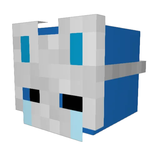 Dogstosebek Minecraft avatar head, 3D render